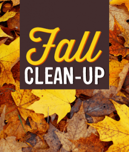 FallCleanUp